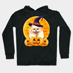 Pomeranian Dog Witch Hat Halloween Costume Funny Pumpkin Hoodie